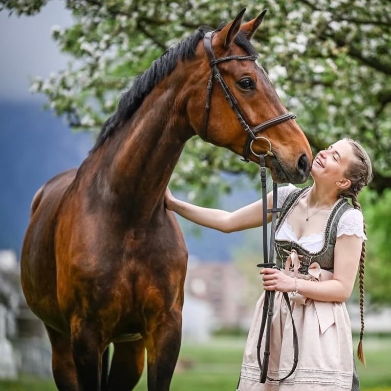 Reiterin mit Pferd