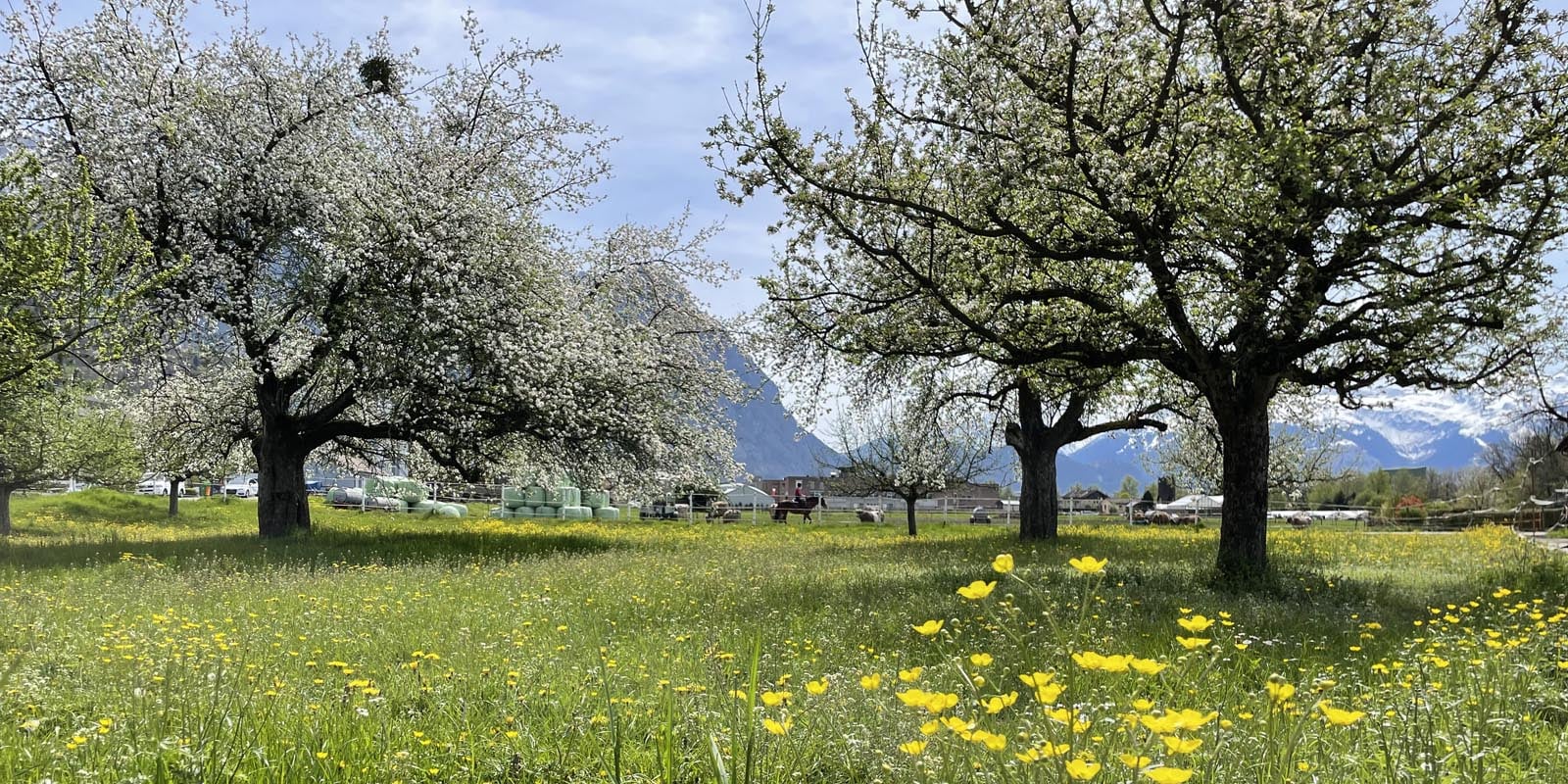 Reitschule bei Stefanie Seger in Vaduz