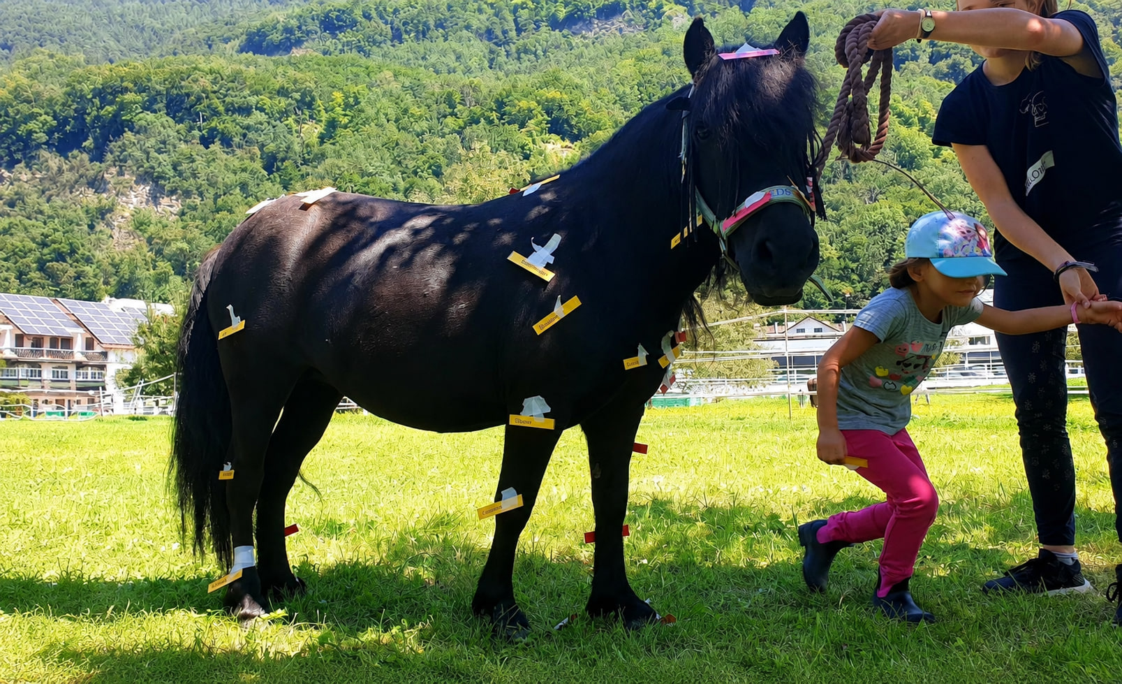 Reitunterricht bei Stefanie Seger in Vaduz